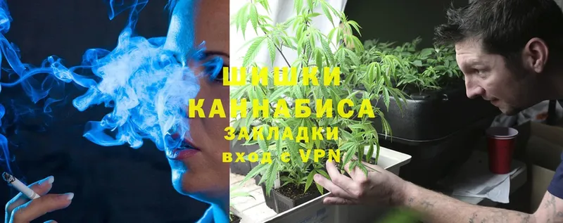 Бошки Шишки семена  Краснозаводск 